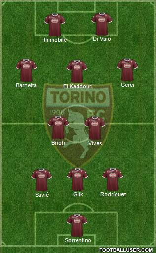 Torino Formation 2013