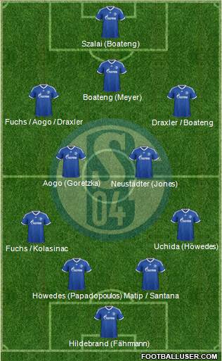 FC Schalke 04 Formation 2013