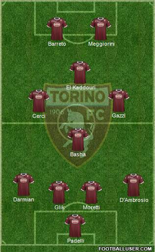 Torino Formation 2013