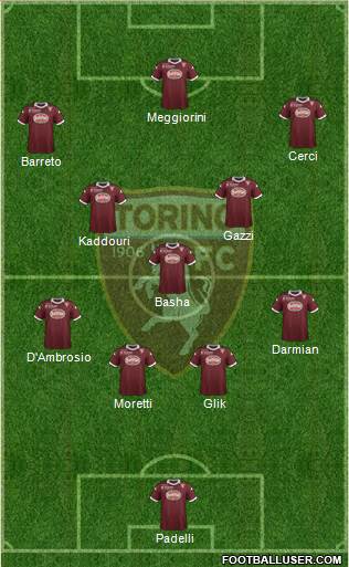 Torino Formation 2013