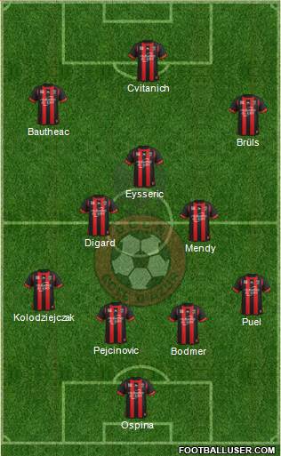 OGC Nice Côte d'Azur Formation 2013