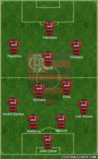 CR Flamengo Formation 2013