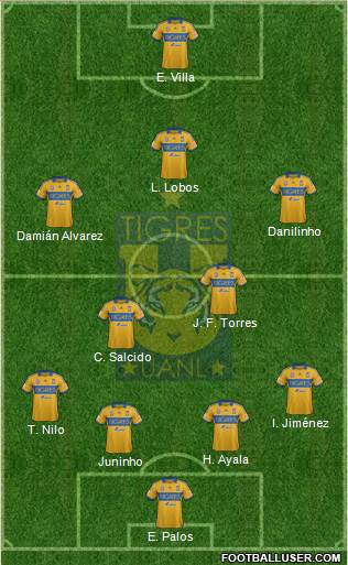 Club Universitario de Nuevo León Formation 2013