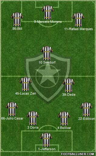 Botafogo FR Formation 2013