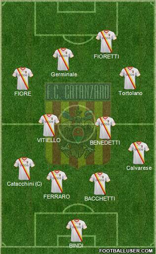 Catanzaro Formation 2013