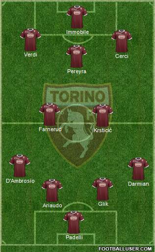 Torino Formation 2013