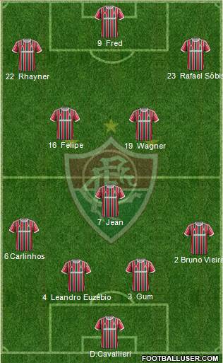 Fluminense FC Formation 2013