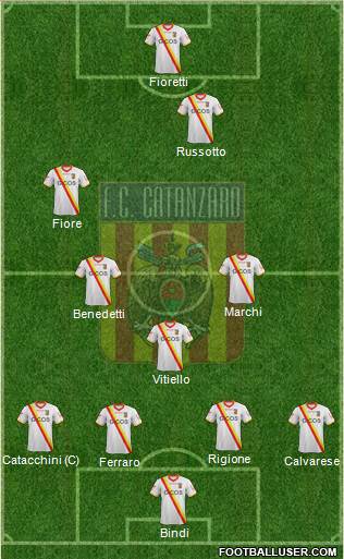 Catanzaro Formation 2013