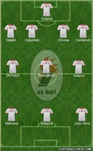 Bari Formation 2013