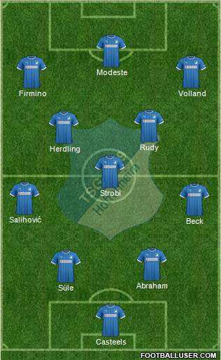 TSG 1899 Hoffenheim Formation 2013