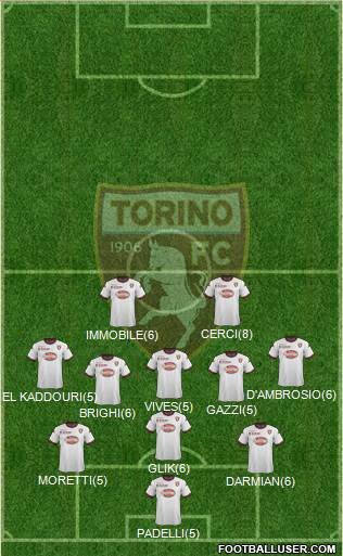 Torino Formation 2013