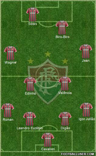 Fluminense FC Formation 2013