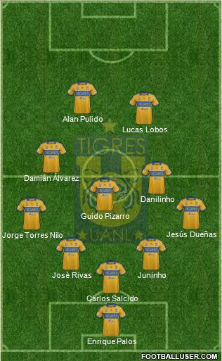 Club Universitario de Nuevo León Formation 2013