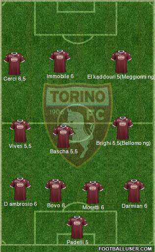 Torino Formation 2013