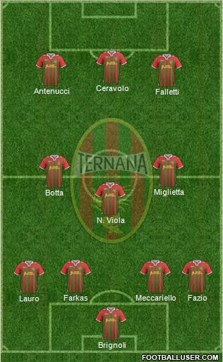 Ternana Formation 2013