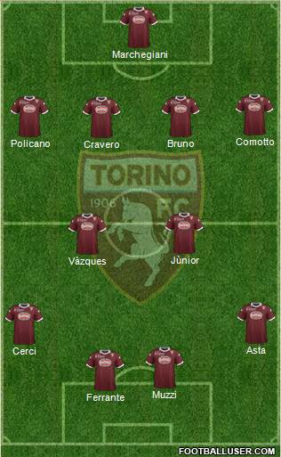 Torino Formation 2013