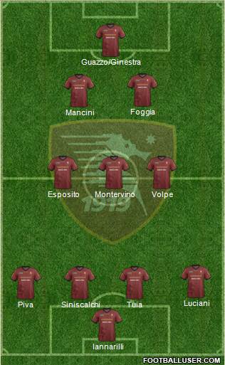 Salernitana Formation 2013