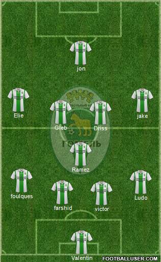 FC Gomel Formation 2013