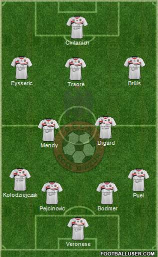 OGC Nice Côte d'Azur Formation 2013