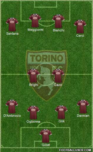 Torino Formation 2013