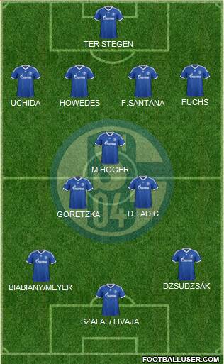 FC Schalke 04 Formation 2013