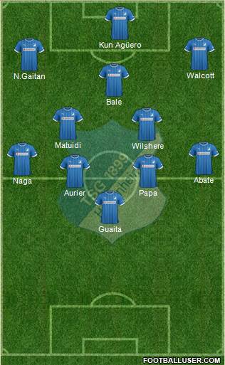 TSG 1899 Hoffenheim Formation 2013