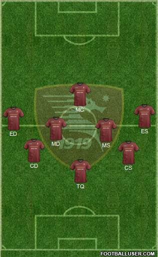 Salernitana Formation 2013