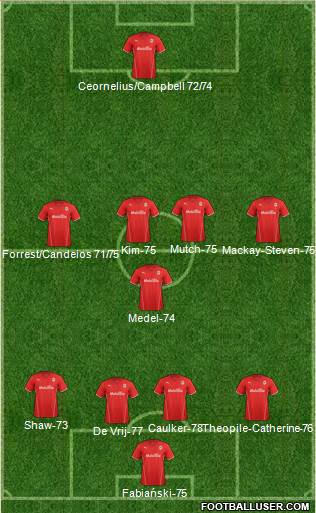 Cardiff City Formation 2013