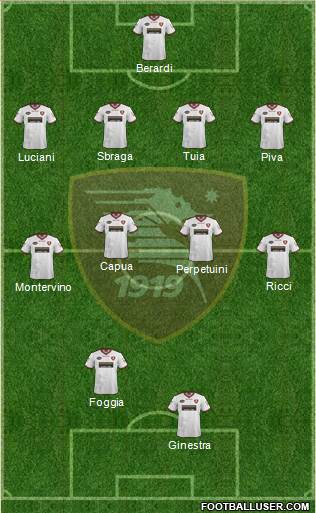 Salernitana Formation 2013