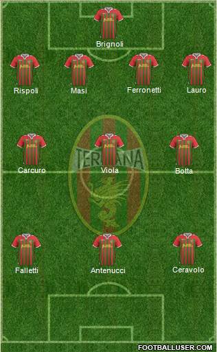 Ternana Formation 2013