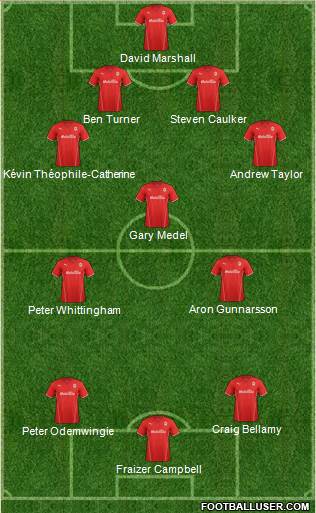 Cardiff City Formation 2013