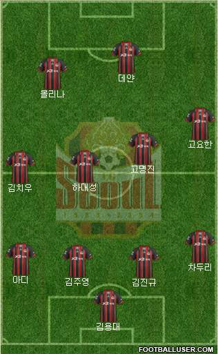 FC Seoul Formation 2013