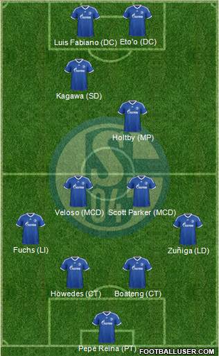 FC Schalke 04 Formation 2013