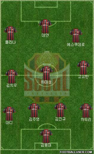 FC Seoul Formation 2013