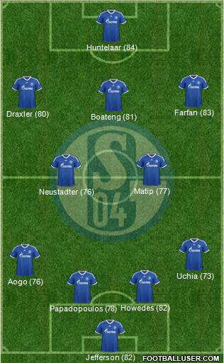 FC Schalke 04 Formation 2013