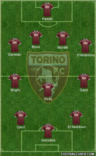 Torino Formation 2013