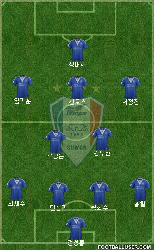 Suwon Samsung Blue Wings Formation 2013