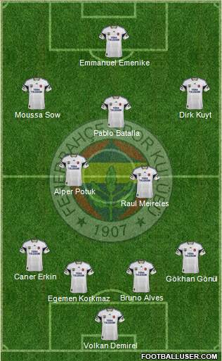 Fenerbahçe SK Formation 2013