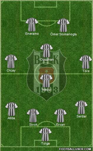 Besiktas JK Formation 2013