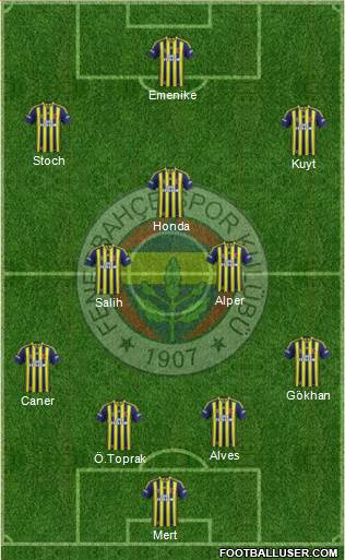 Fenerbahçe SK Formation 2013