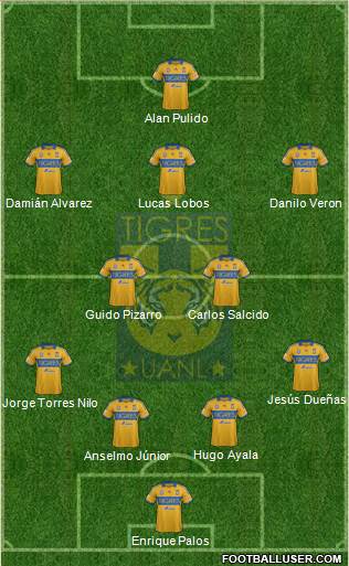 Club Universitario de Nuevo León Formation 2013