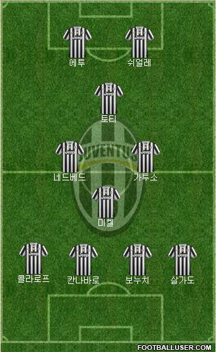 Juventus Formation 2013