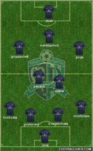 Dinamo Tbilisi Formation 2013