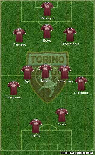 Torino Formation 2013