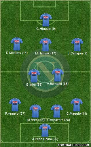 Napoli Formation 2013