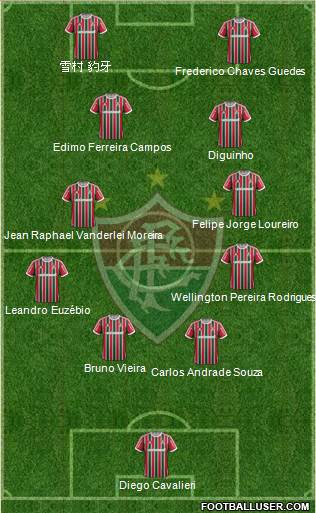 Fluminense FC Formation 2013