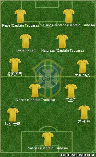 Brazil Formation 2013