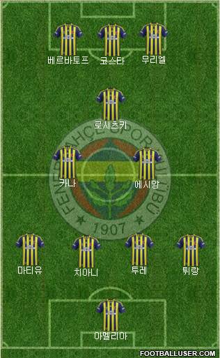 Fenerbahçe SK Formation 2013