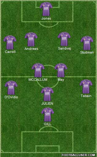 Perth Glory Formation 2013