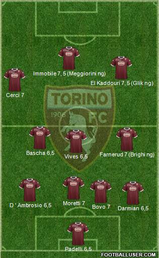 Torino Formation 2013